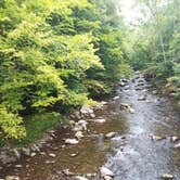 Review photo of Elkmont Campground — Great Smoky Mountains National Park by Josh M., March 27, 2023