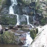 Review photo of Elkmont Campground — Great Smoky Mountains National Park by Josh M., March 27, 2023