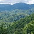 Review photo of Elkmont Campground — Great Smoky Mountains National Park by Josh M., March 27, 2023