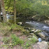 Review photo of Elkmont Campground — Great Smoky Mountains National Park by Josh M., March 27, 2023