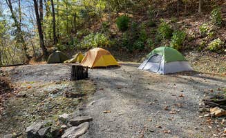 Mairi P.'s photo at Cane Creek Holler near Balsam, NC