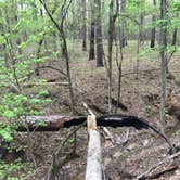 Review photo of Neches Bluff Overlook Campground by Rachel H., March 27, 2023