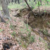 Review photo of Neches Bluff Overlook Campground by Rachel H., March 27, 2023