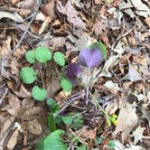 Review photo of Neches Bluff Overlook Campground by Rachel H., March 27, 2023