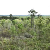 Review photo of Neches Bluff Overlook Campground by Rachel H., March 27, 2023