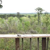 Review photo of Neches Bluff Overlook Campground by Rachel H., March 27, 2023
