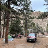 Review photo of Upper and Lower Ansel Watrous Campgrounds by braden , March 27, 2023