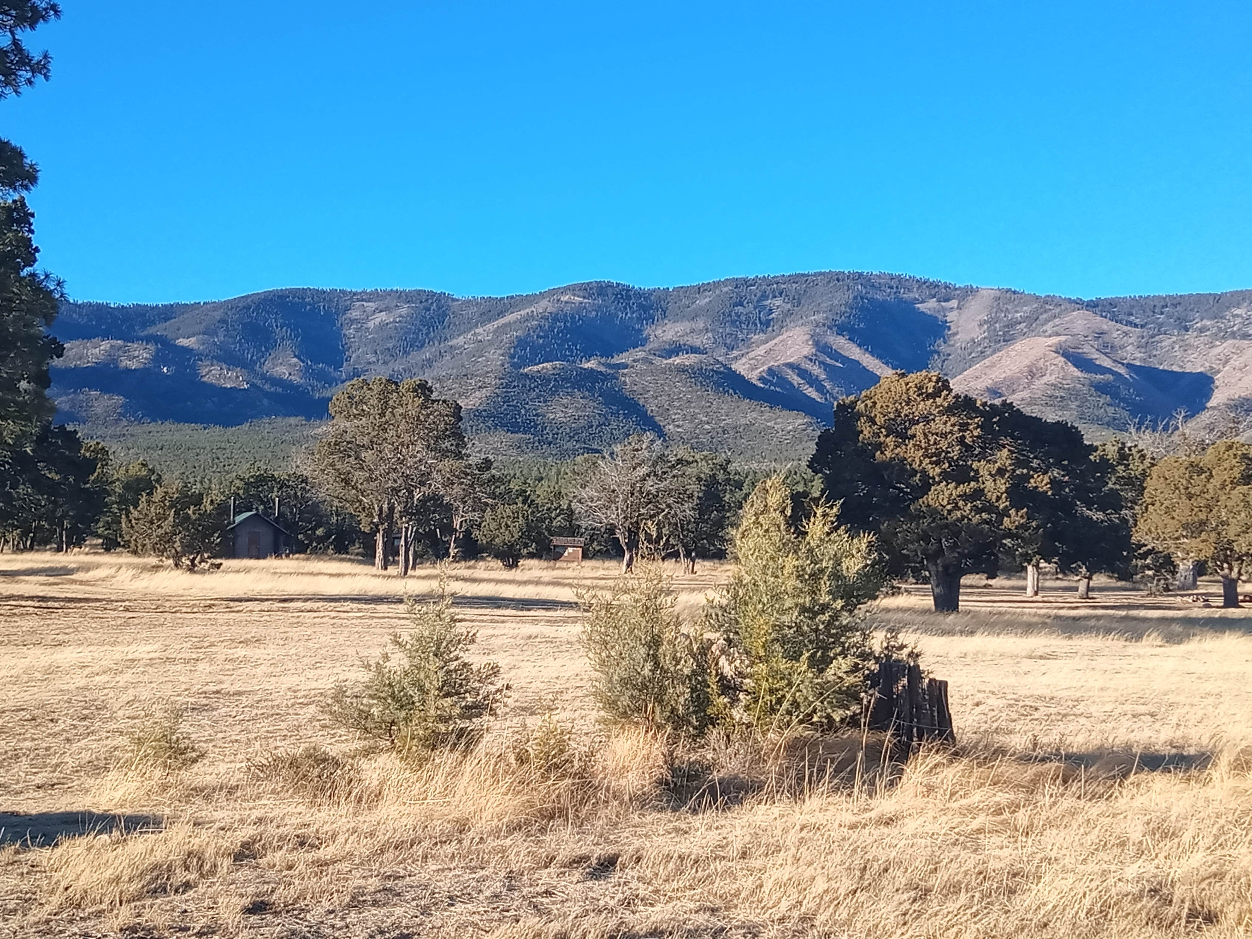 Camper-submitted photo at Baca Campground near Roswell, NM