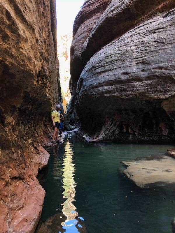 Camper-submitted photo at Kolob Terrace Road Dispersed near Rockville, UT