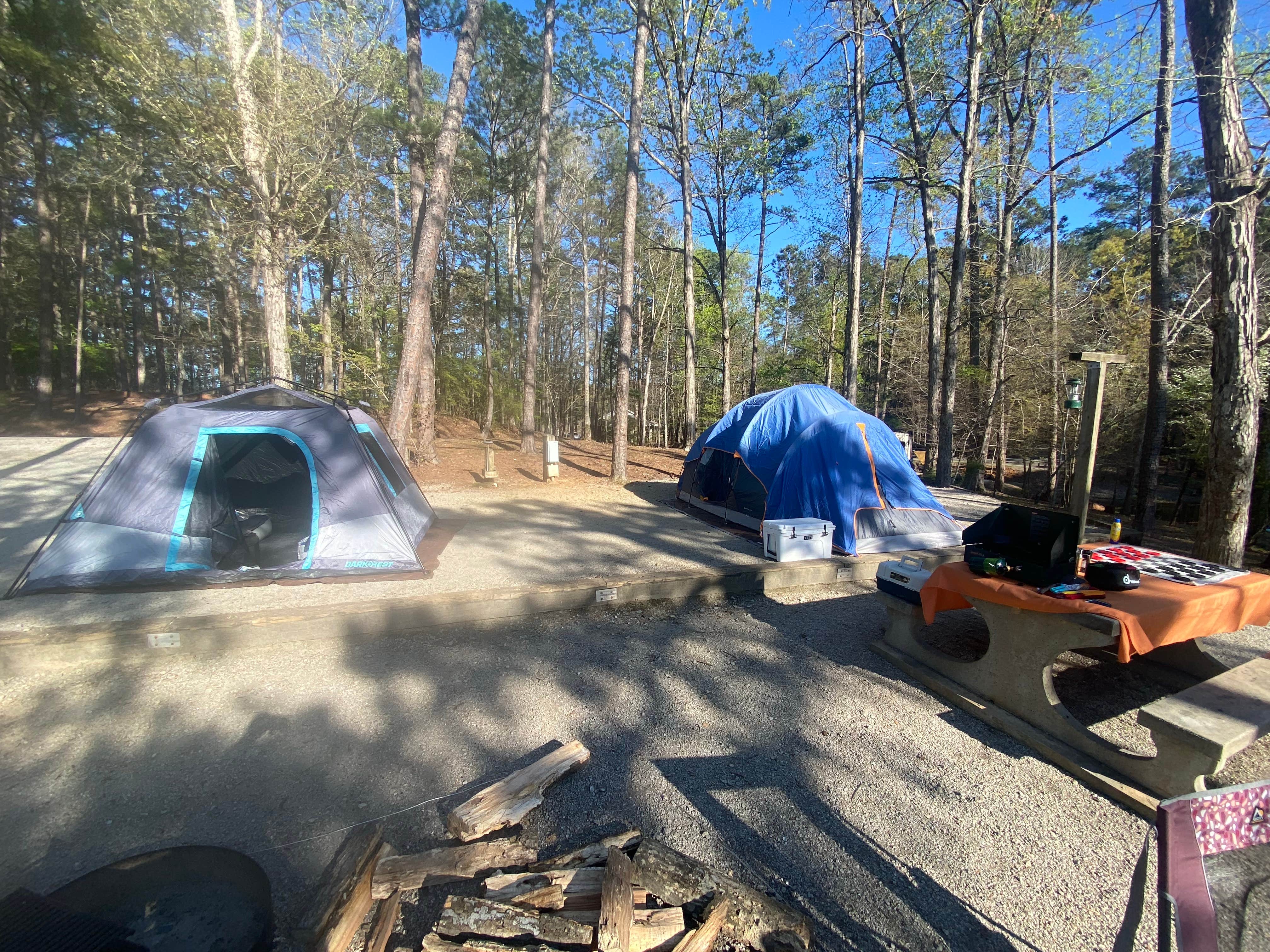 Rebecca L.'s photo at Mistletoe State Park Campground near Woodland, GA
