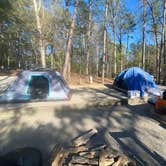 Review photo of Mistletoe State Park Campground by Rebecca L., March 27, 2023