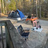 Review photo of Mistletoe State Park Campground by Rebecca L., March 27, 2023