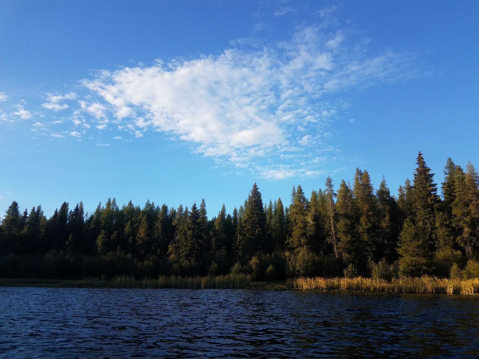 Camper submitted image from Little Twin Lakes Campground - 1
