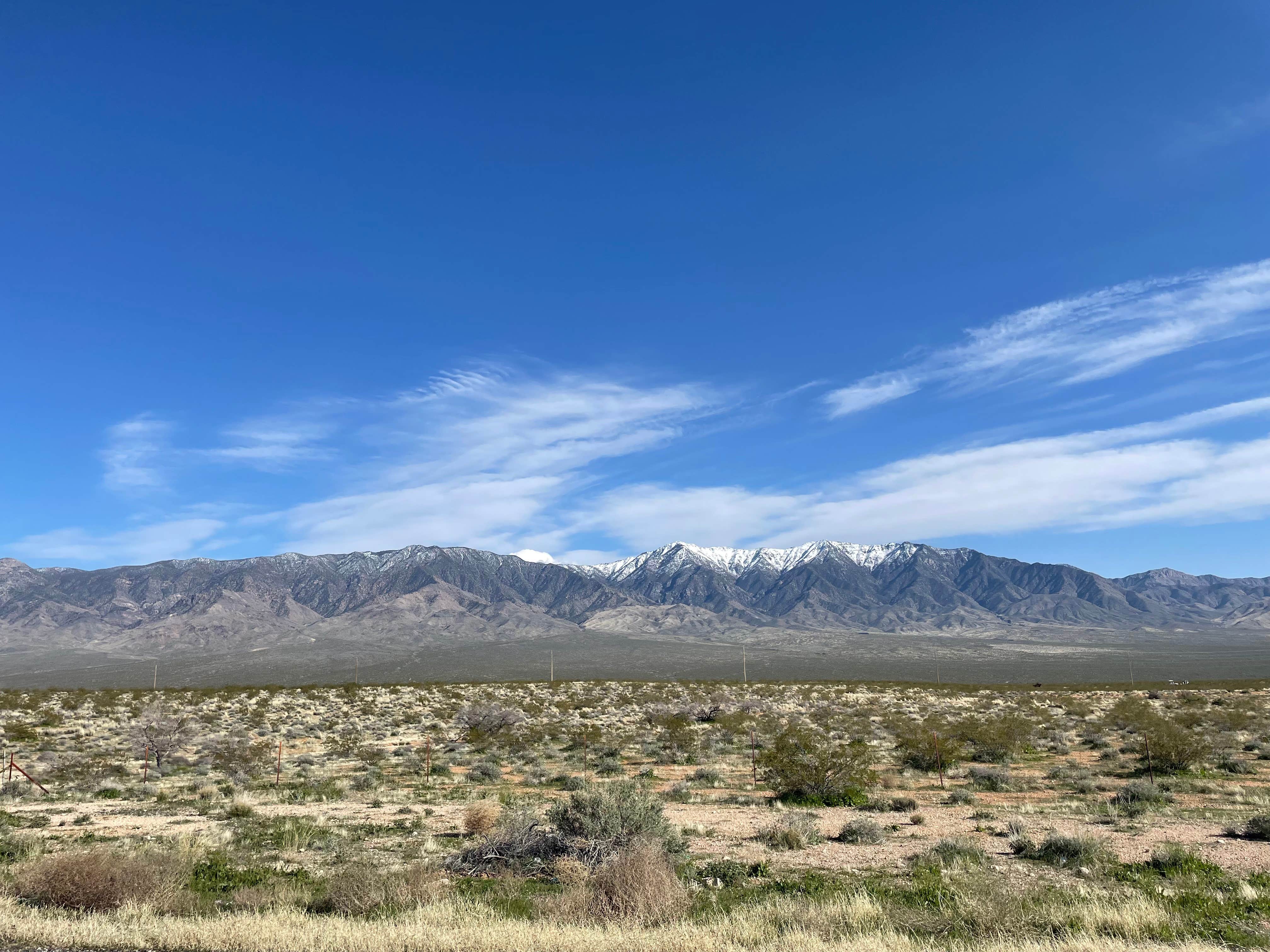 Camper-submitted photo at Black Rock Road Dispersed near St. George, UT
