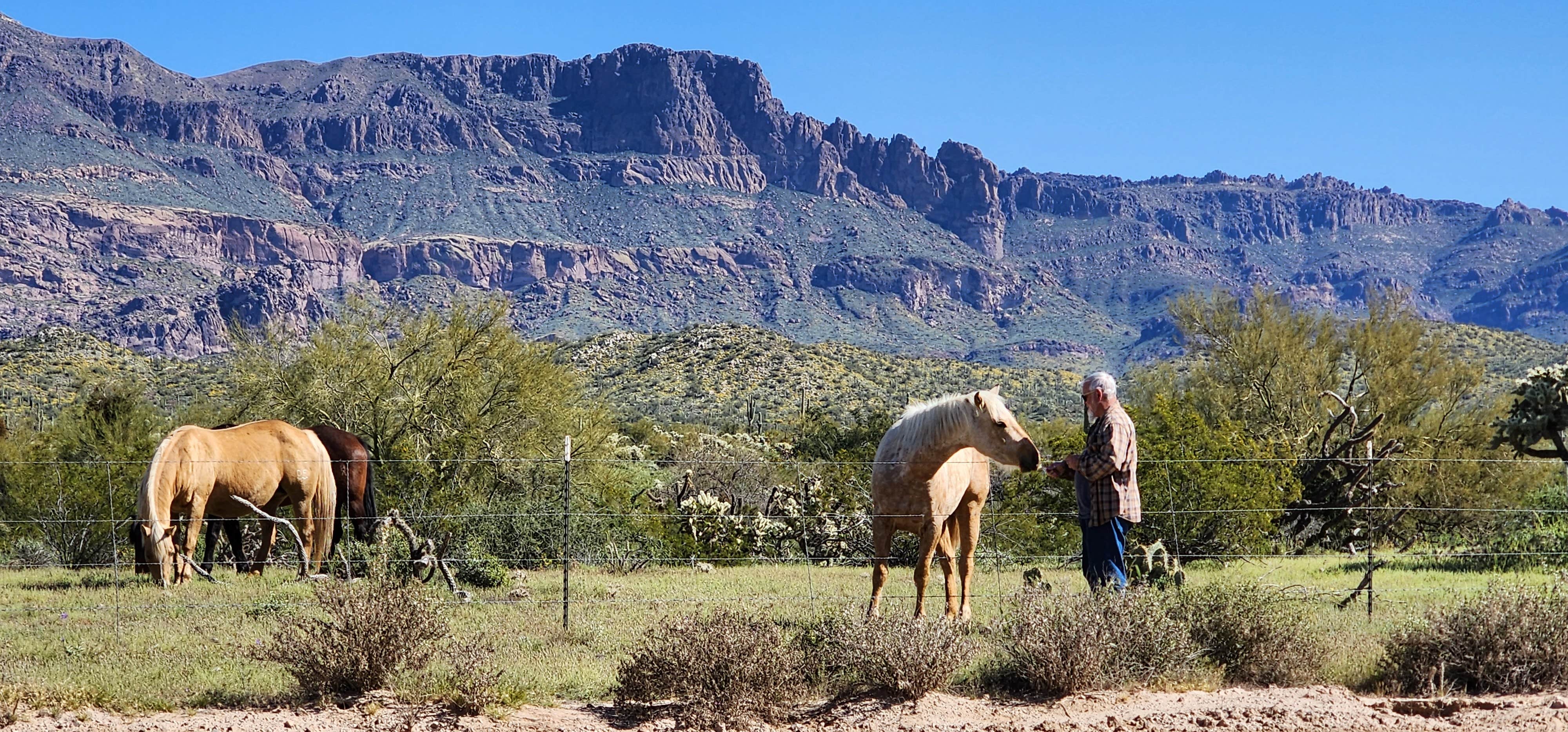 Camper-submitted photo at Peralta Road Dispersed Camping near Gold Canyon, AZ