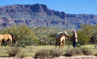 Will and Lucinda B.'s photo of camping with pets at Peralta Road Dispersed Camping near Gilbert, AZ