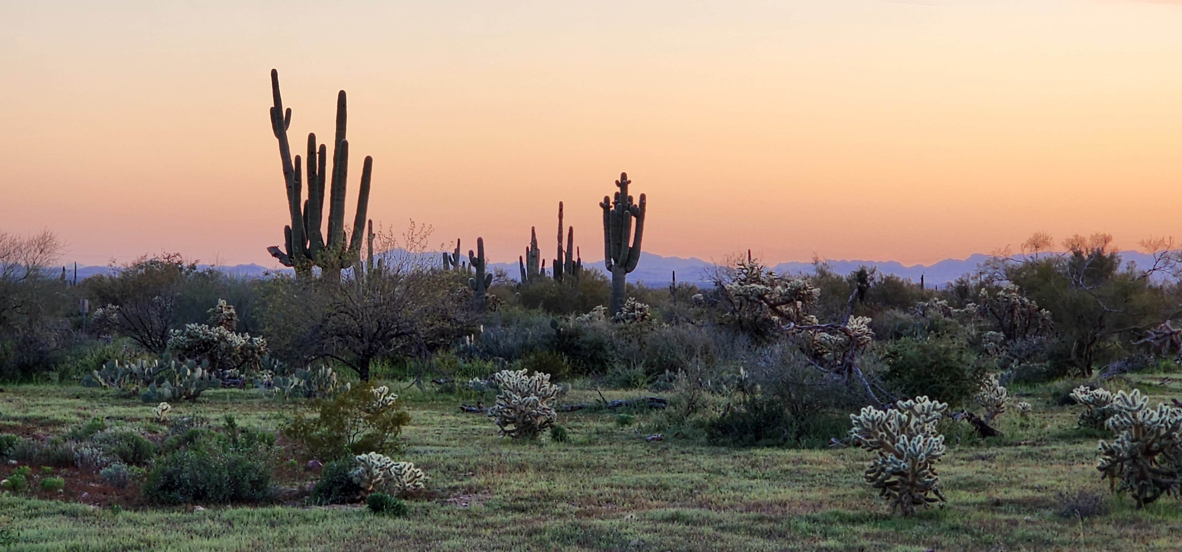 Camper-submitted photo at Peralta Road Dispersed Camping near Gold Canyon, AZ