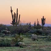 Review photo of Peralta Road Dispersed Camping by Will and Lucinda B., March 27, 2023