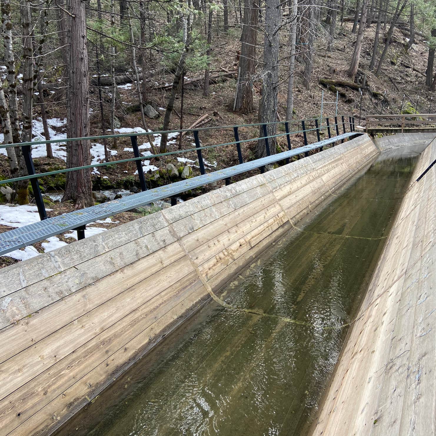 Sand Flat Campground | Kyburz, California