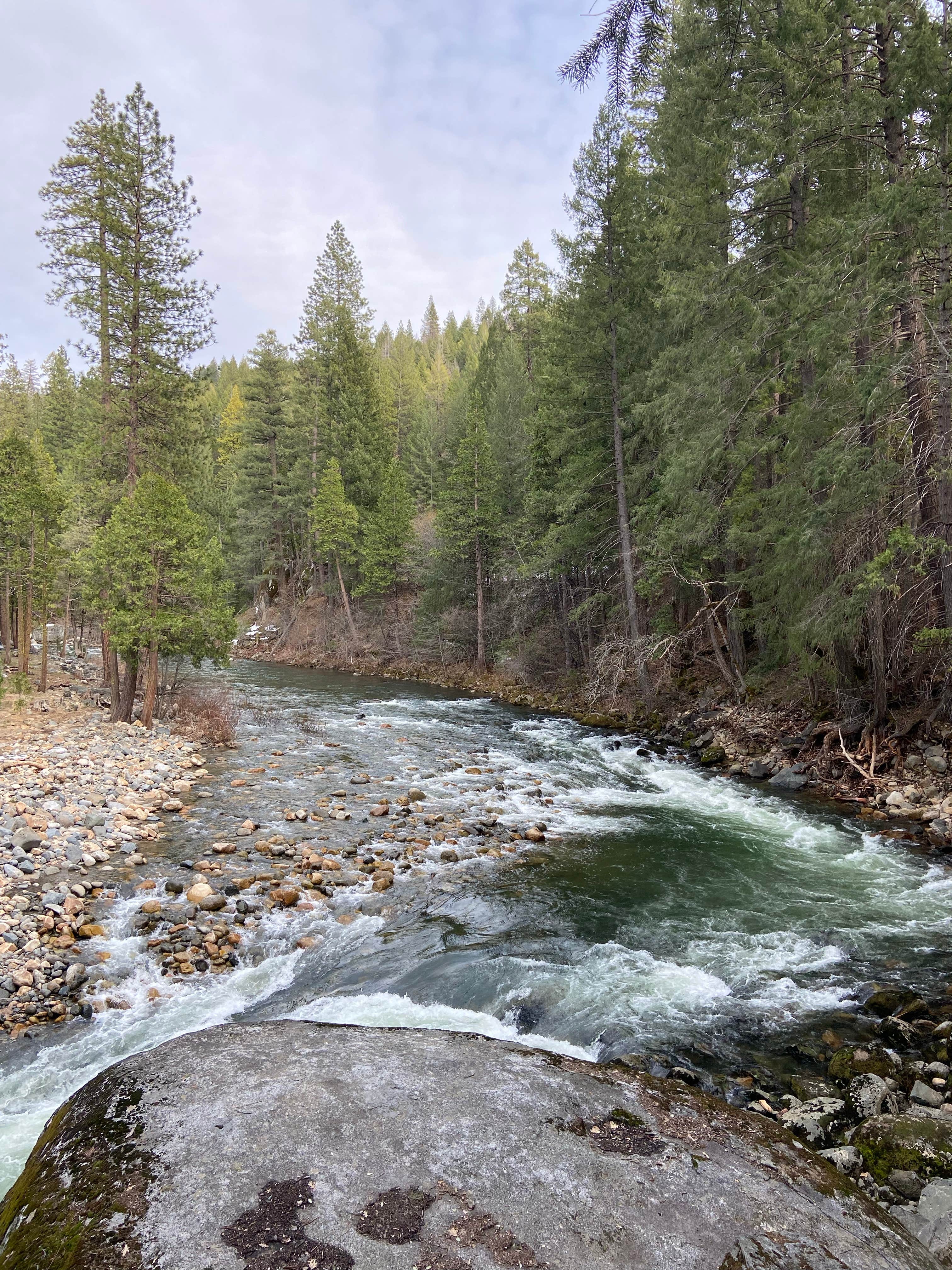 Camper submitted image from Sand Flat Campground - 1