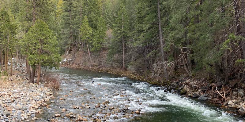 Camper submitted image from Sand Flat Campground