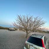 Review photo of Bosque Birdwatchers RV Park by Ken , March 28, 2023