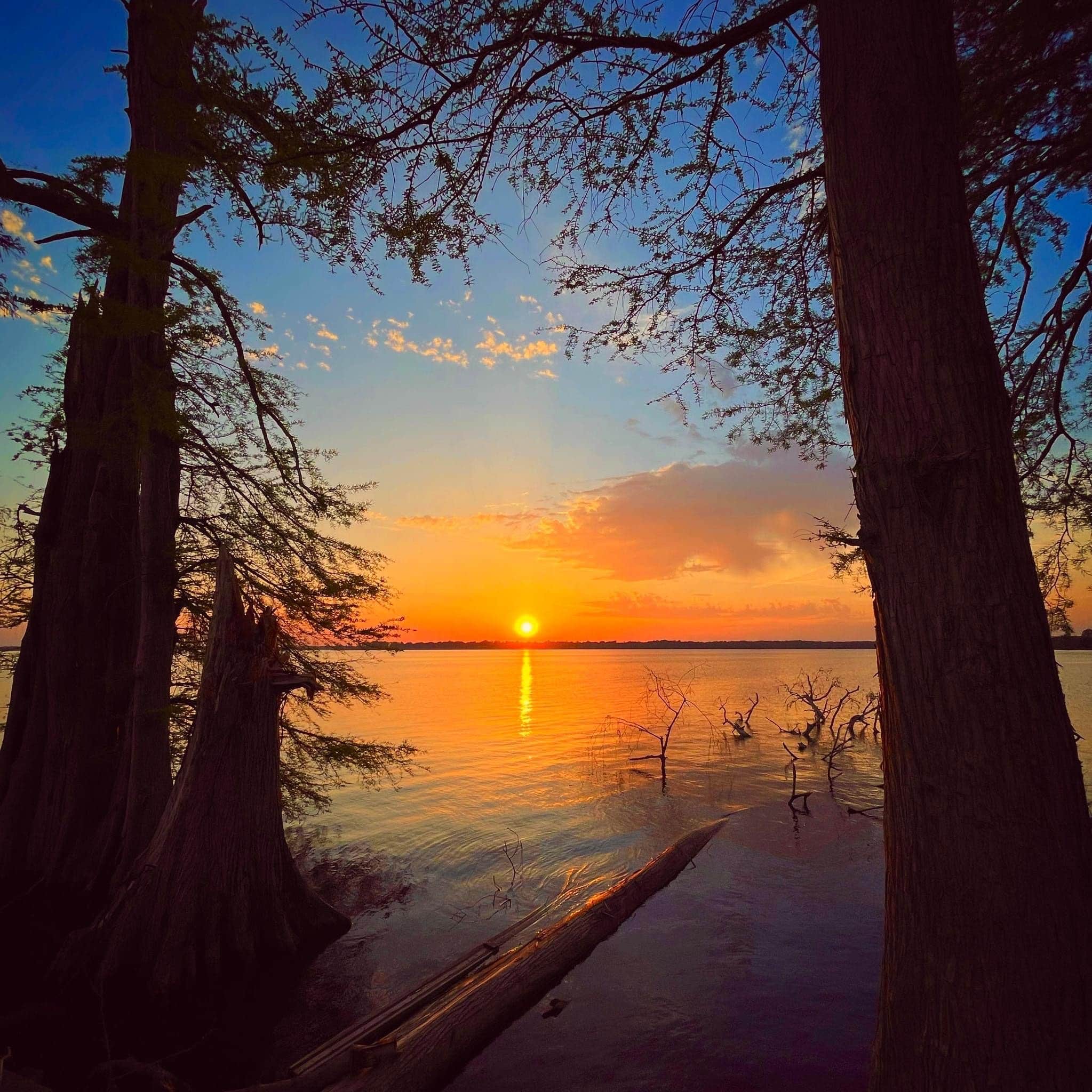 Camper submitted image from Roberson Camper Lots at Reelfoot Lake - 3
