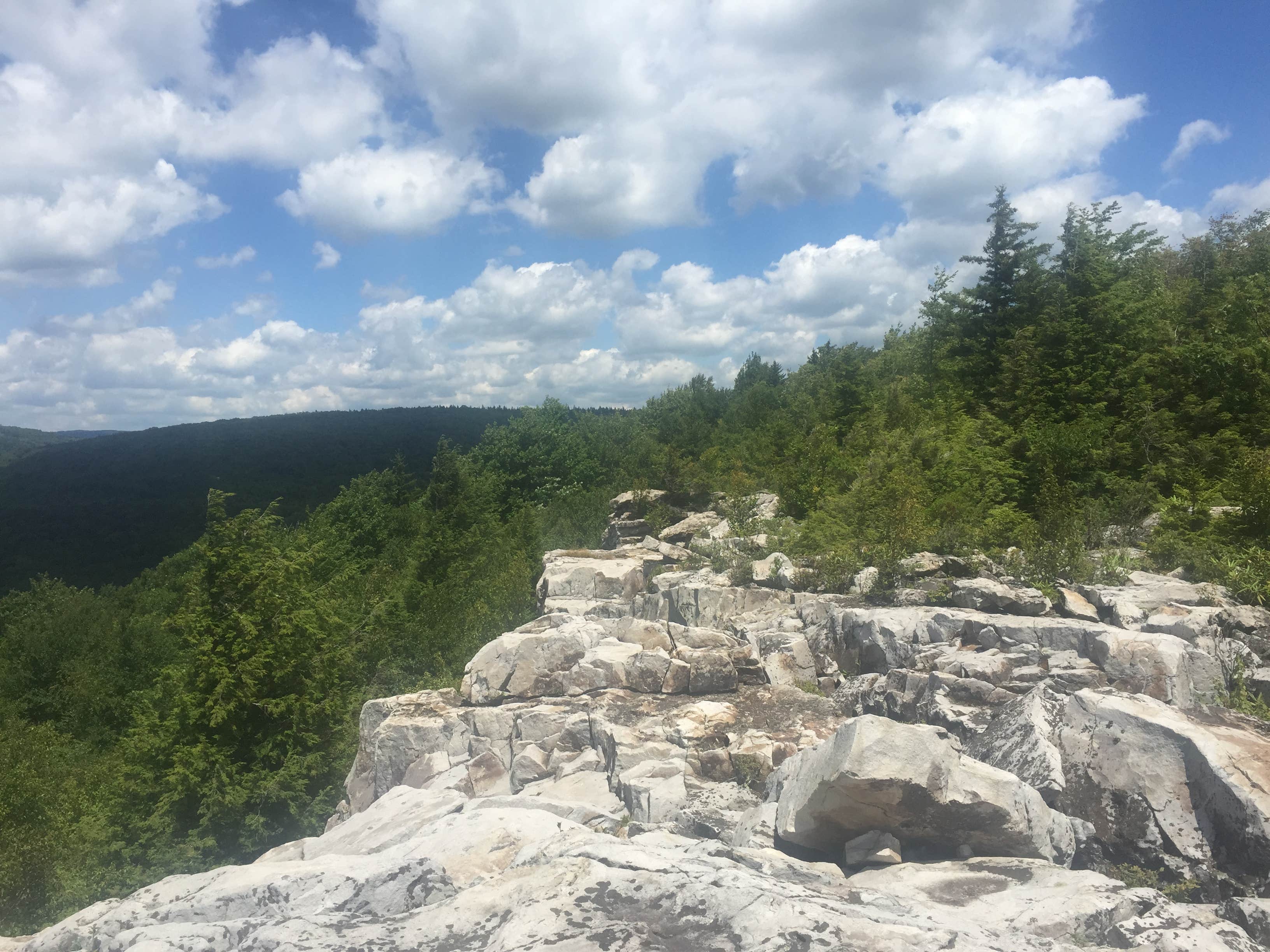 Camper submitted image from Red Creek Campground - 2