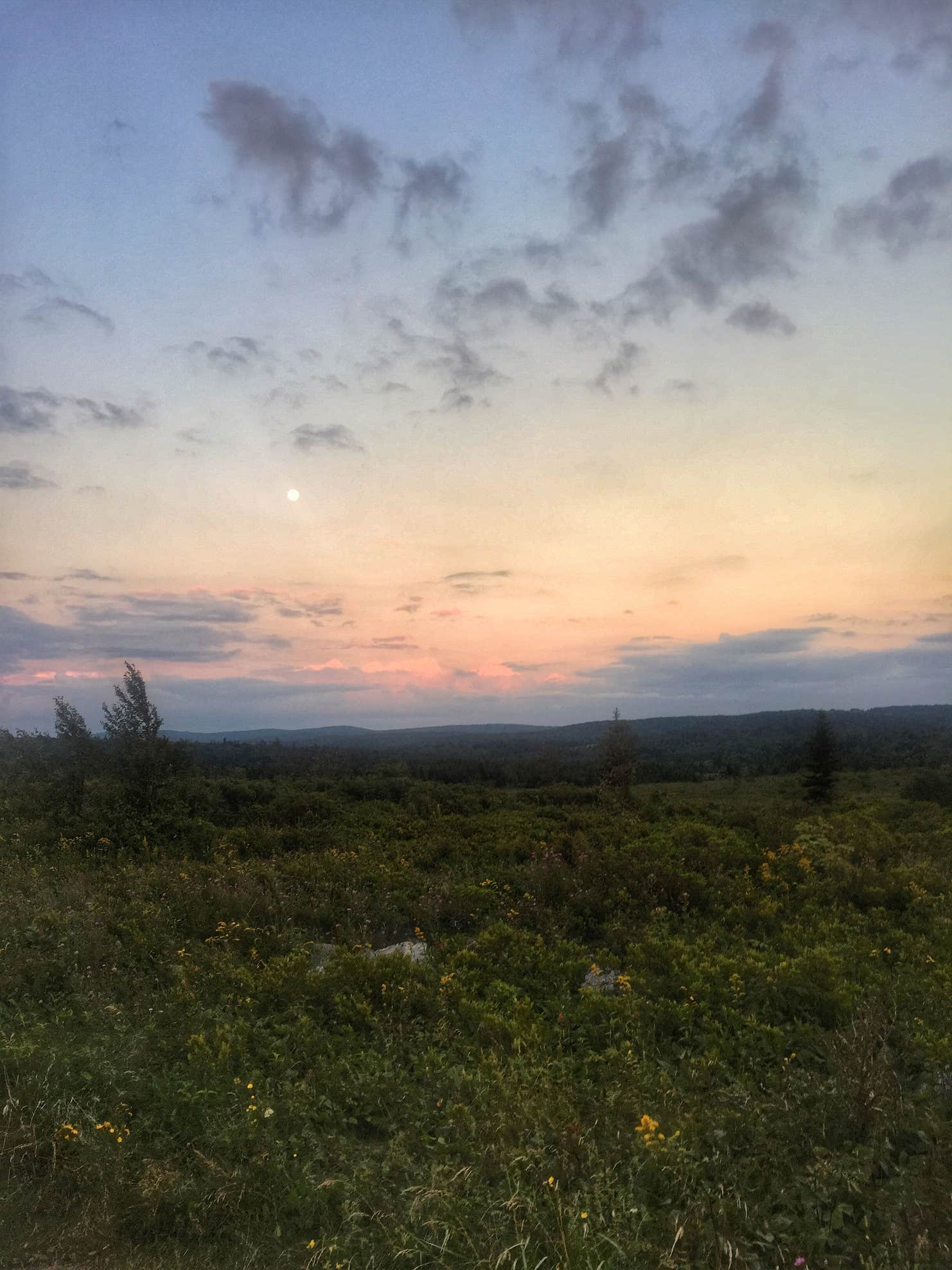 Red Creek Campground The Dyrt