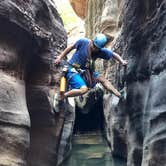 Review photo of Sheep Bridge BLM Area (Hurricane Cliffs Trail System) - Utah by Alan B., October 1, 2018