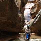 Review photo of Sheep Bridge BLM Area (Hurricane Cliffs Trail System) - Utah by Alan B., October 1, 2018