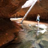 Review photo of Sheep Bridge BLM Area (Hurricane Cliffs Trail System) - Utah by Alan B., October 1, 2018