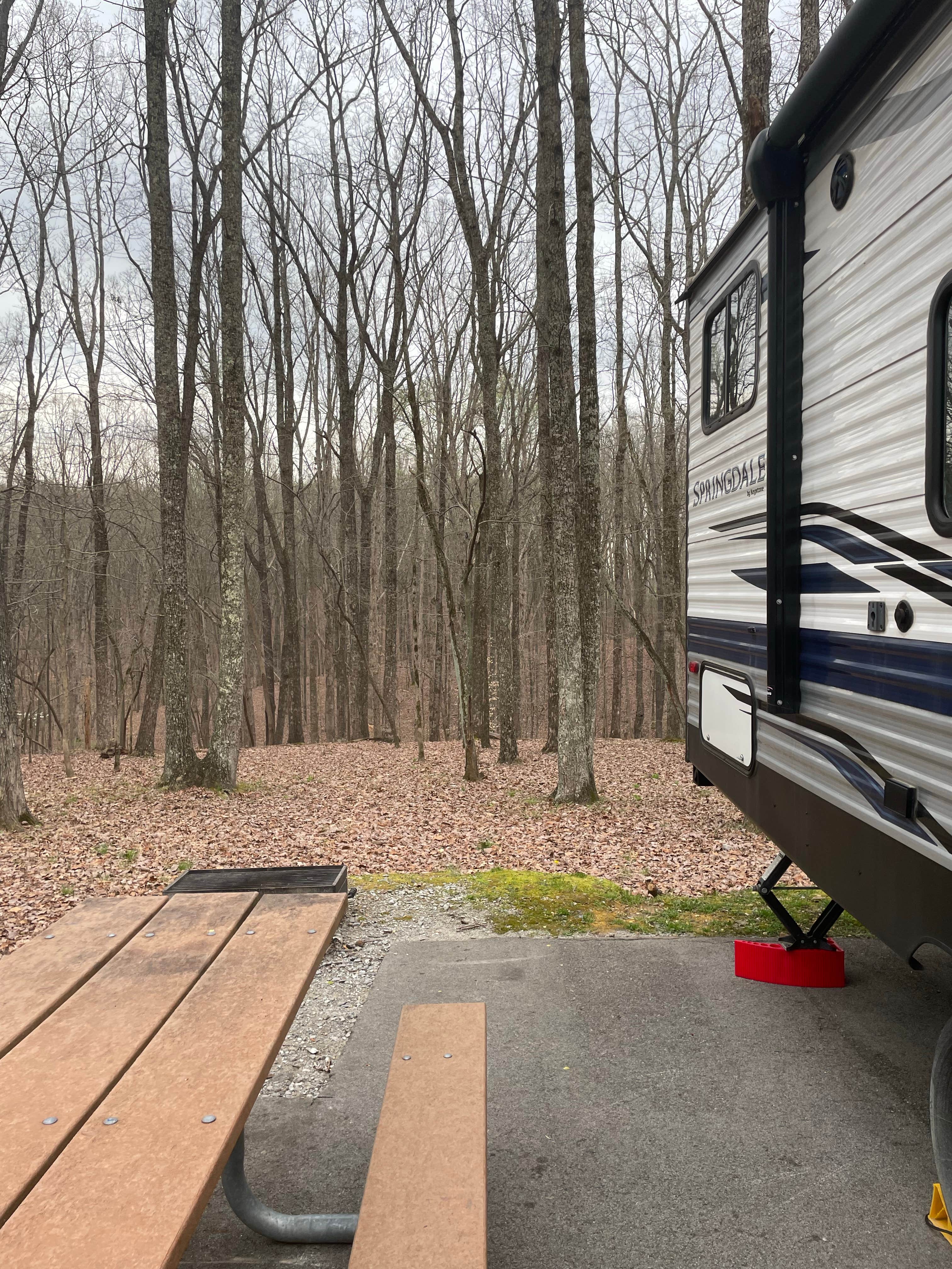 Tiffany C.'s photo of rv camping at David Crockett State Park Campground near Summertown, TN