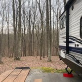 Review photo of David Crockett State Park Campground by Tiffany C., March 28, 2023