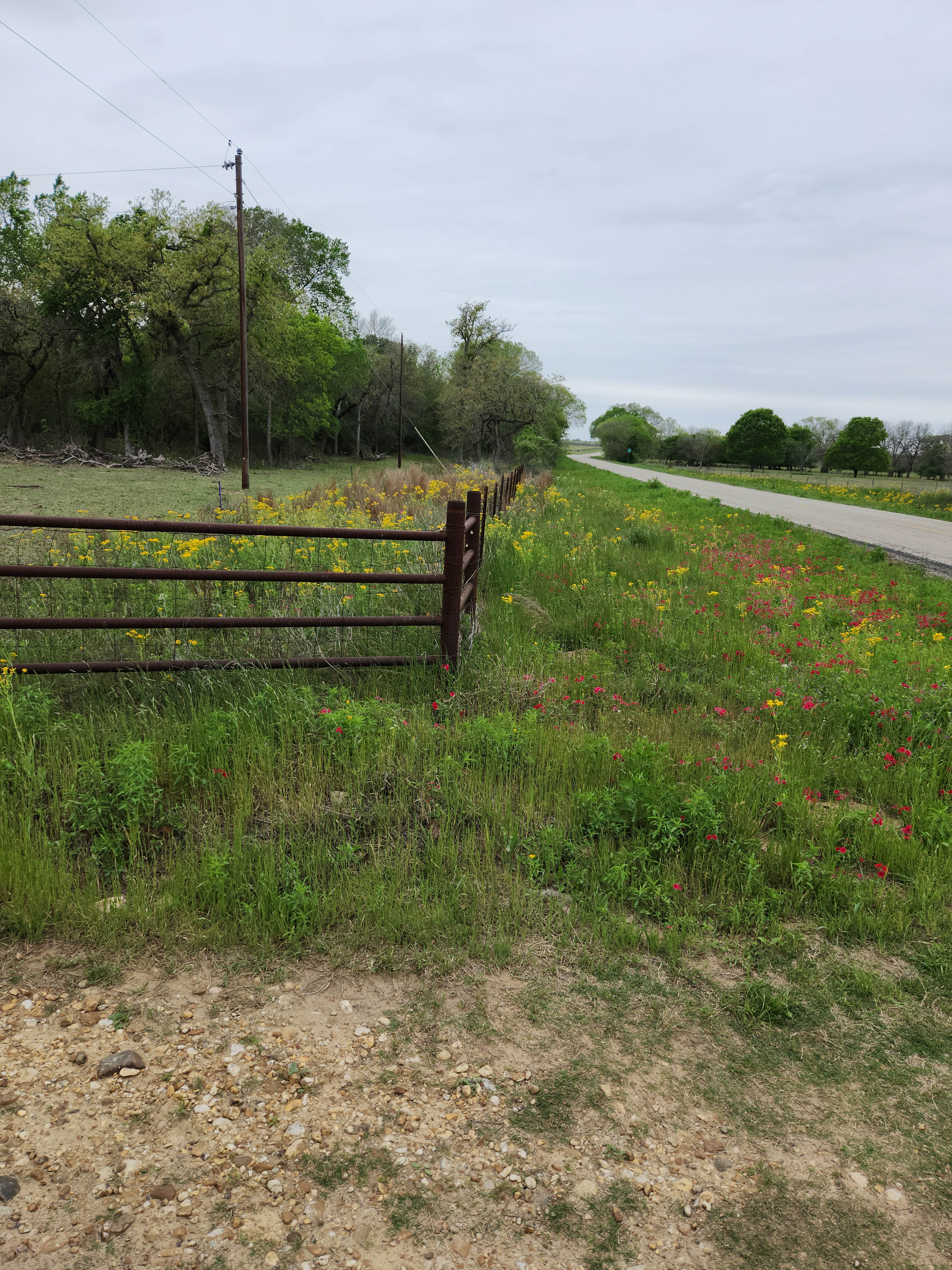 Camper-submitted photo at Sandy Grove Ranch near Caddo, TX