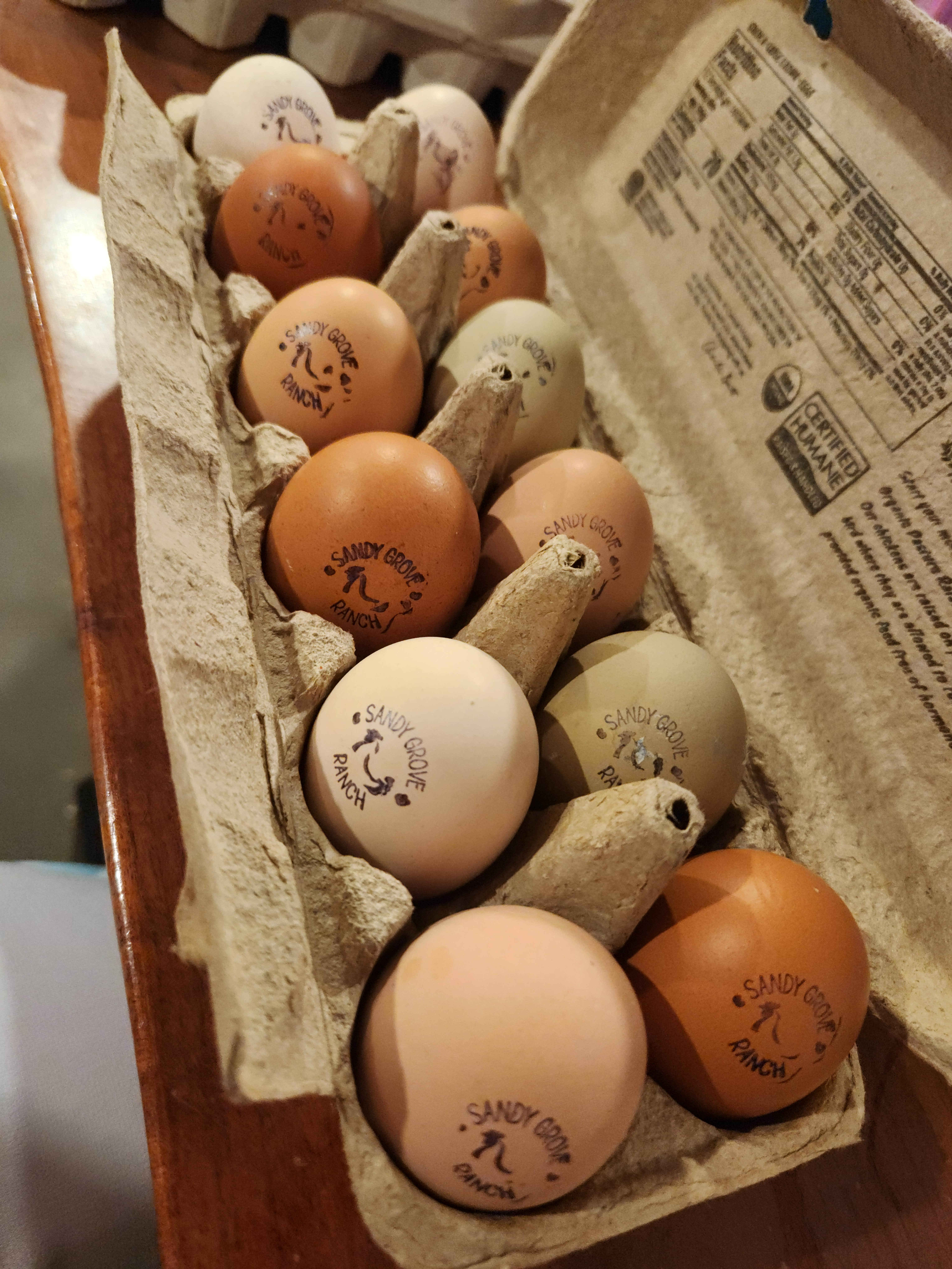 Camper-submitted photo at Sandy Grove Ranch near Caddo, TX