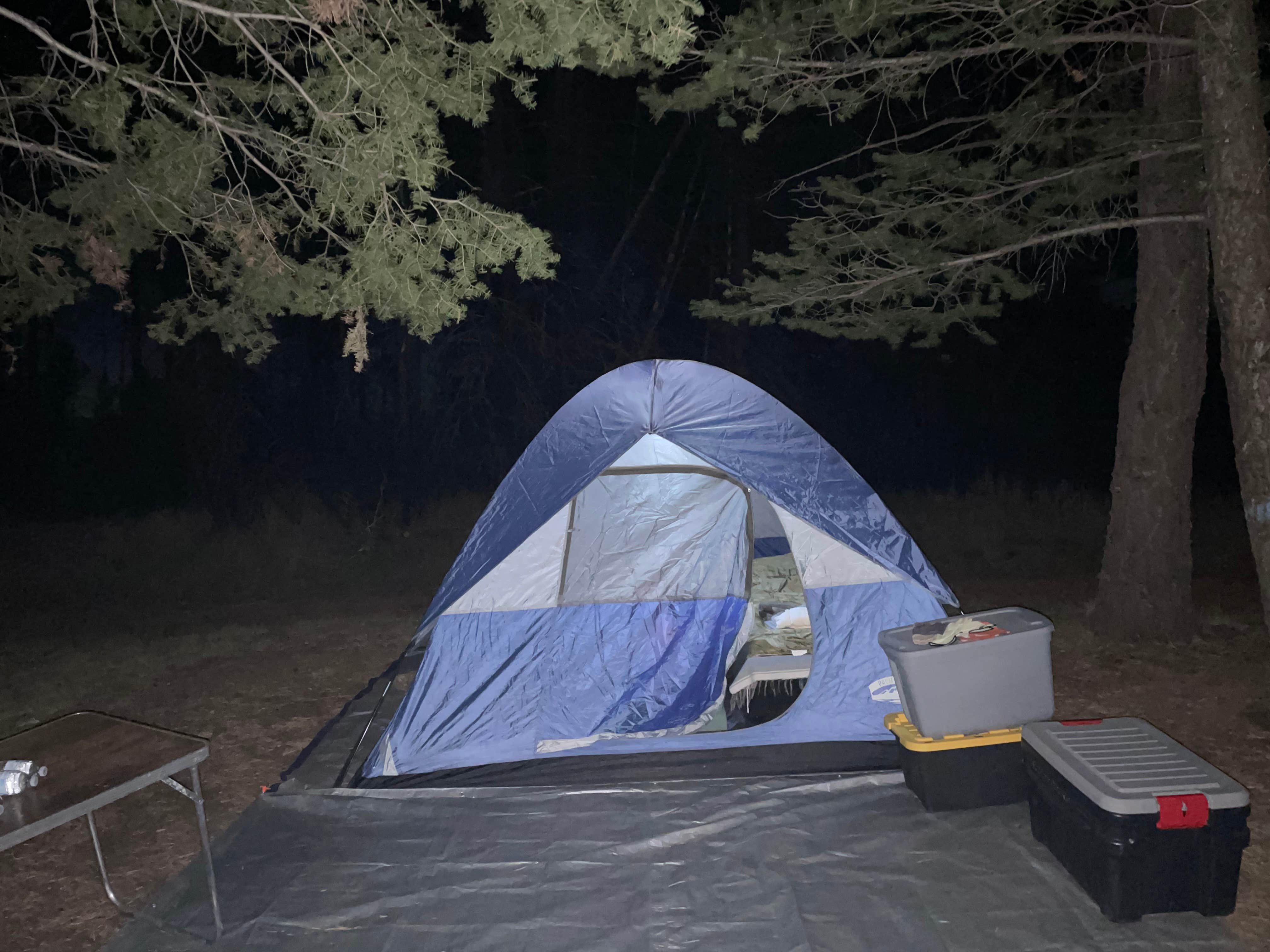 Camper submitted image from Amigos Loop Dispersed Site - 4