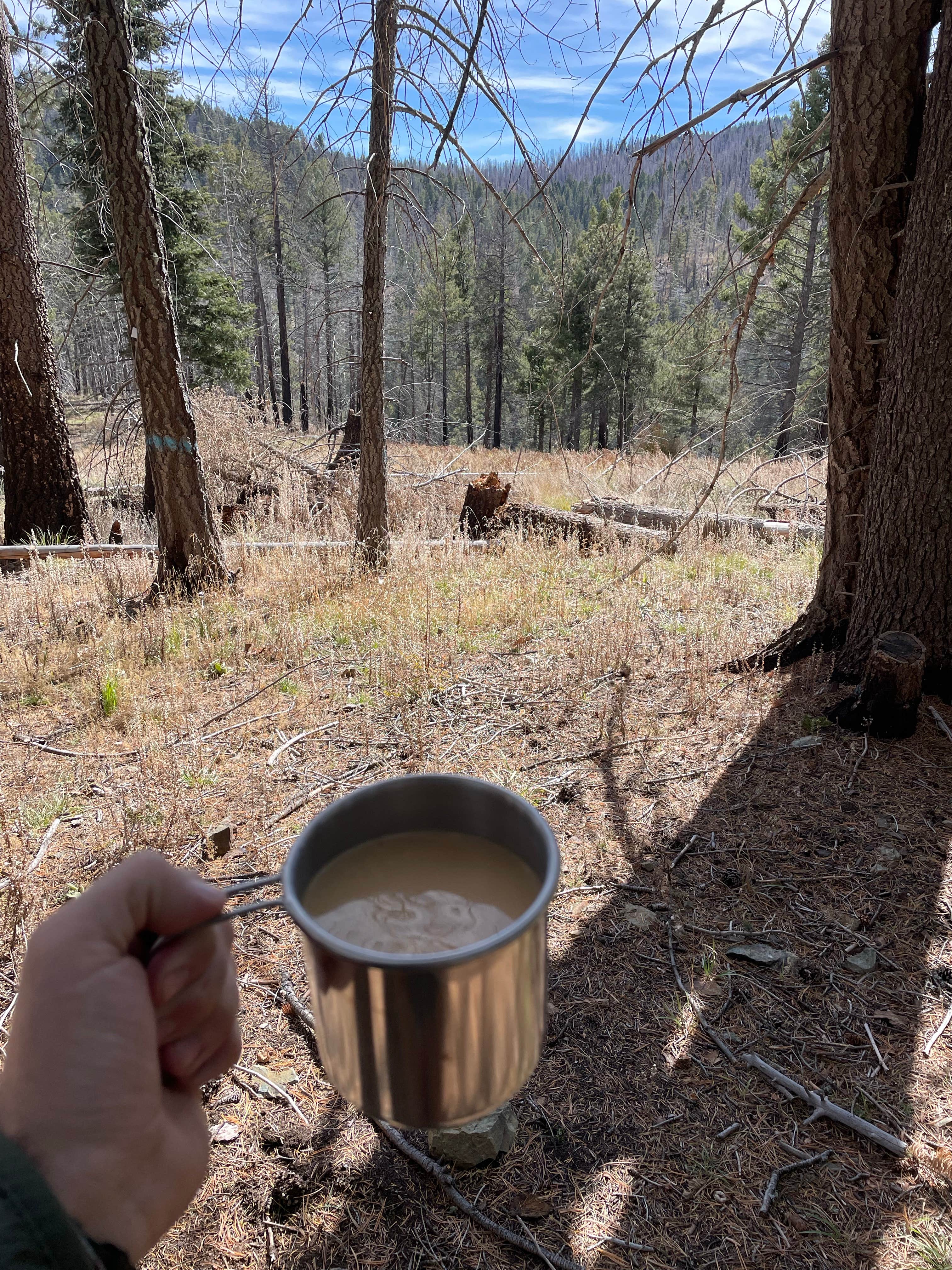 Camper-submitted photo at Amigos Loop Dispersed Site near Pima, AZ