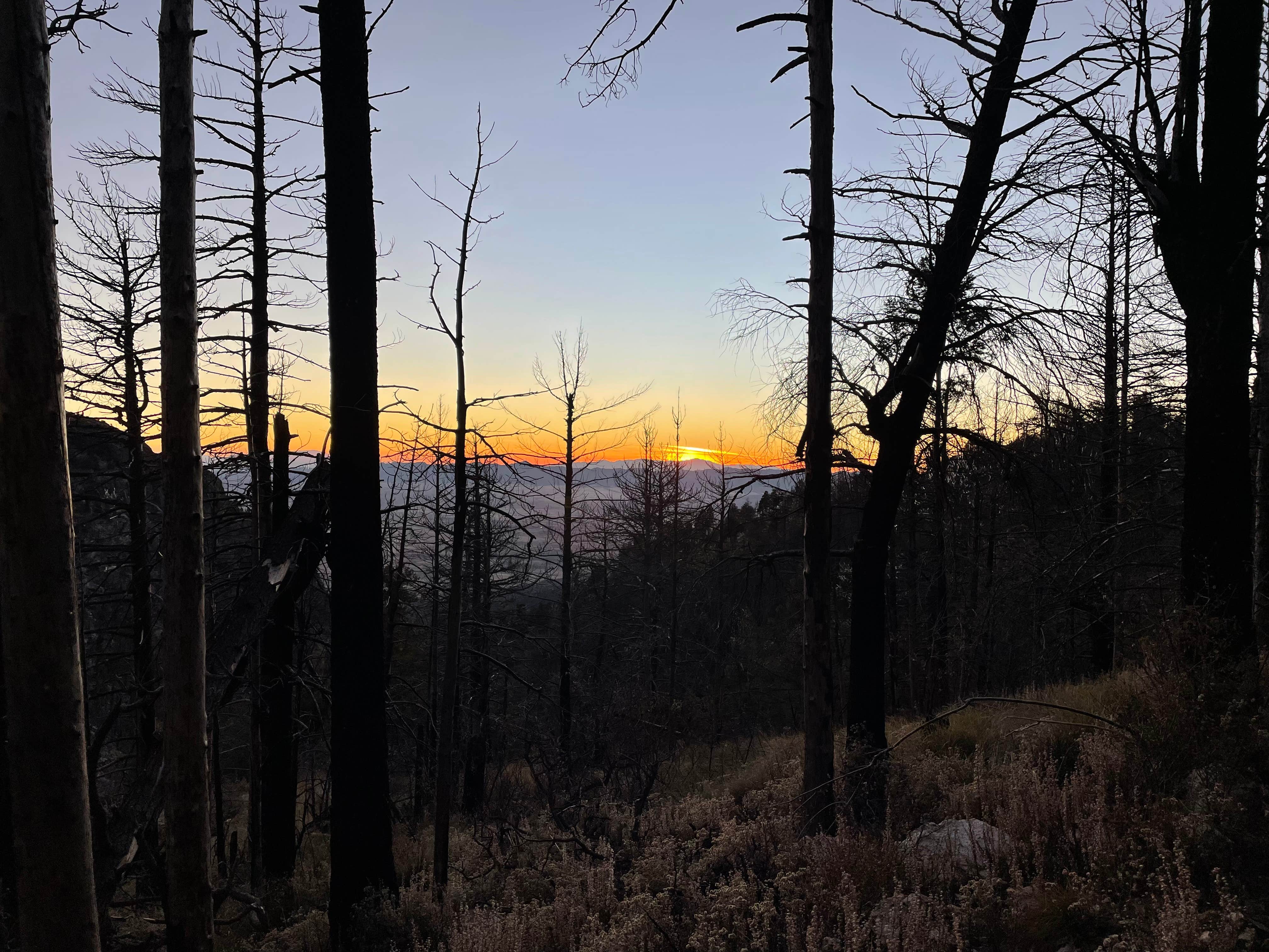 Camper-submitted photo at Amigos Loop Dispersed Site near Pima, AZ