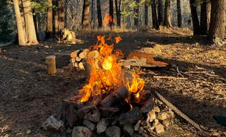 Camping near Clark Peak Corrals: Amigos Loop Dispersed Site, Thatcher, Arizona