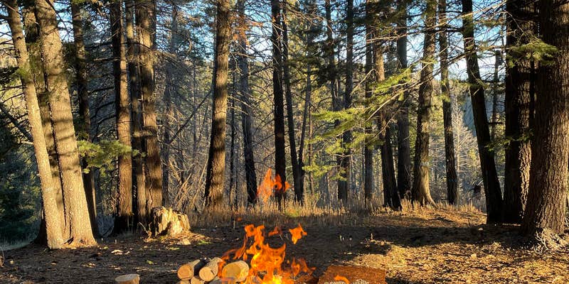 Camper submitted image from Amigos Loop Dispersed Site