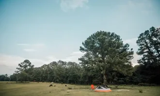 Camping near Travel Resorts of America Sycamore Lodge: Silk Purse Farm, Aberdeen, North Carolina