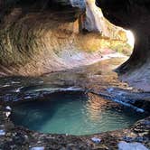 Review photo of Sheep Bridge BLM Area (Hurricane Cliffs Trail System) - Utah by Alan B., October 1, 2018