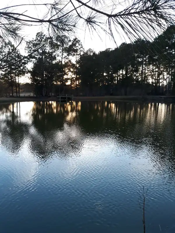 Camping near Hilltop Christian Camp Resort: The Fruit Factory, Moultrie, Georgia