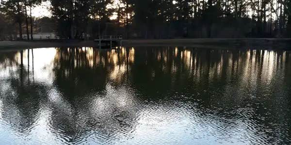 Camper submitted image from The Fruit Factory