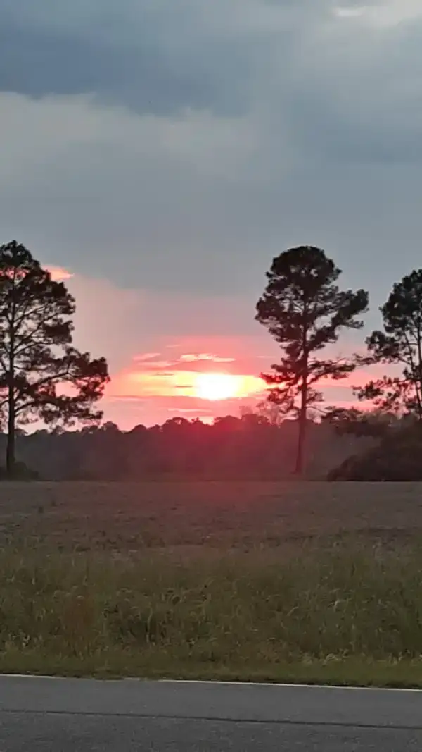Camper-submitted photo at The Fruit Factory near Moultrie, GA