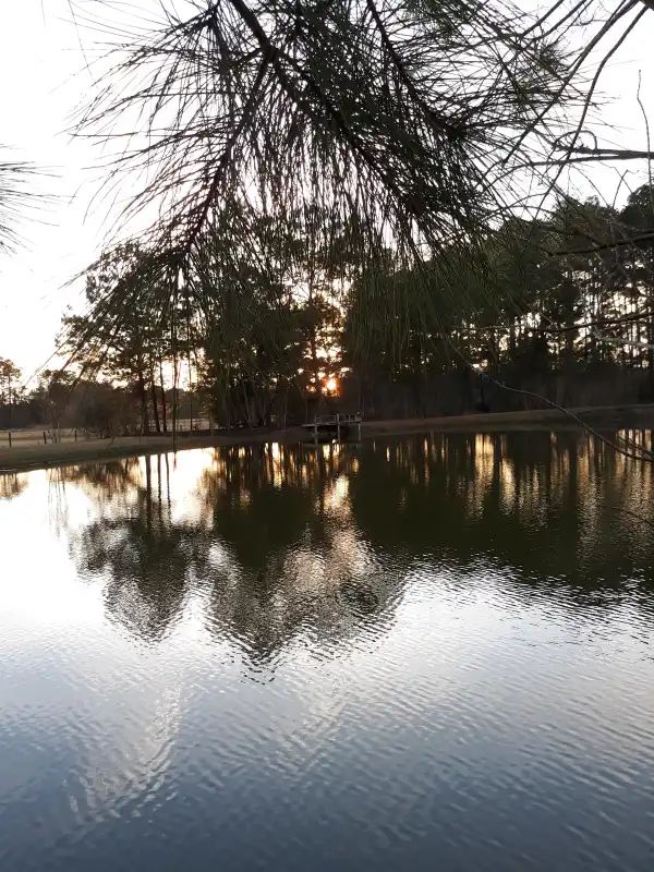 Camper-submitted photo at The Fruit Factory near Moultrie, GA