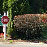 Review photo of Jantzen Beach RV Park by Corinna B., October 1, 2018