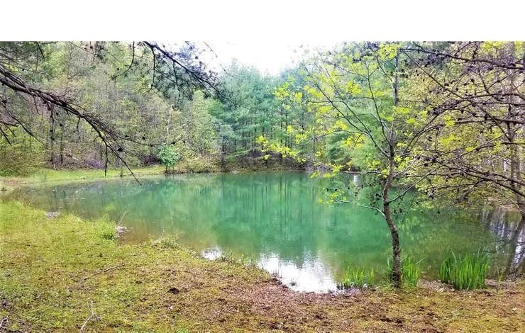 Daddy Rabbits Campground