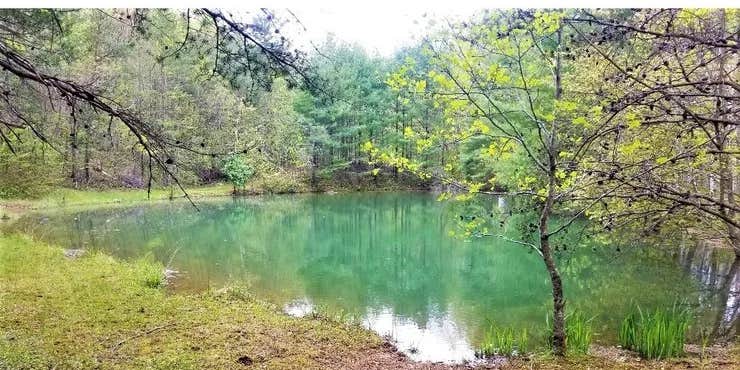 Camper submitted image from Daddy Rabbits Campground